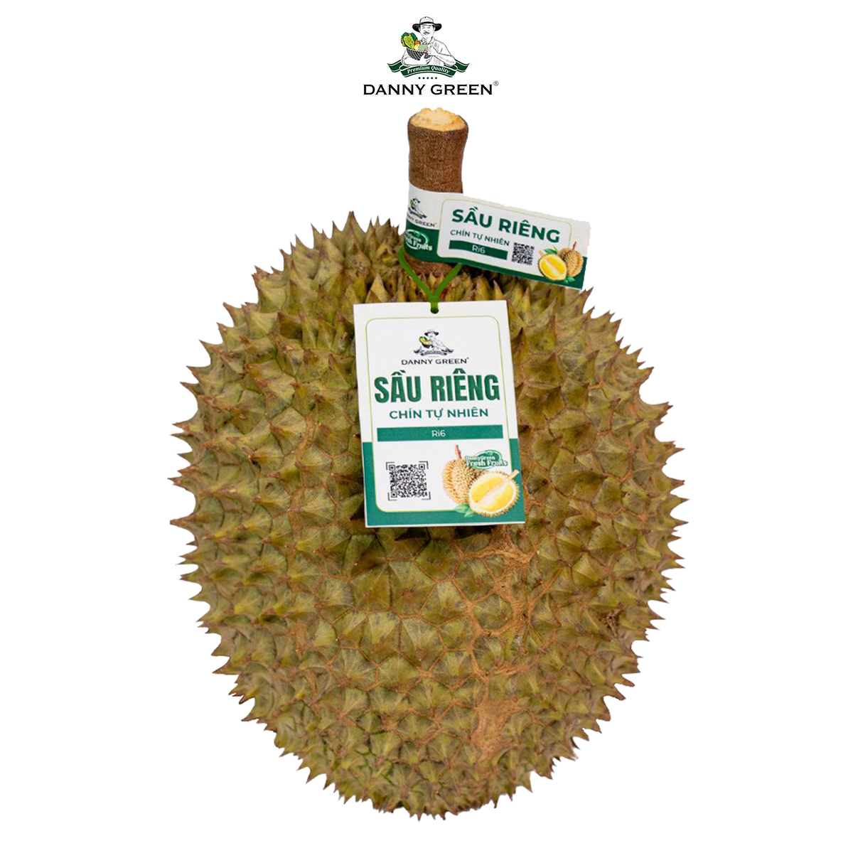 Sầu Riêng Ri6 DannyGreen