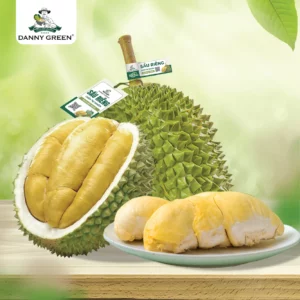 Sầu Riêng Musang King DannyGreen