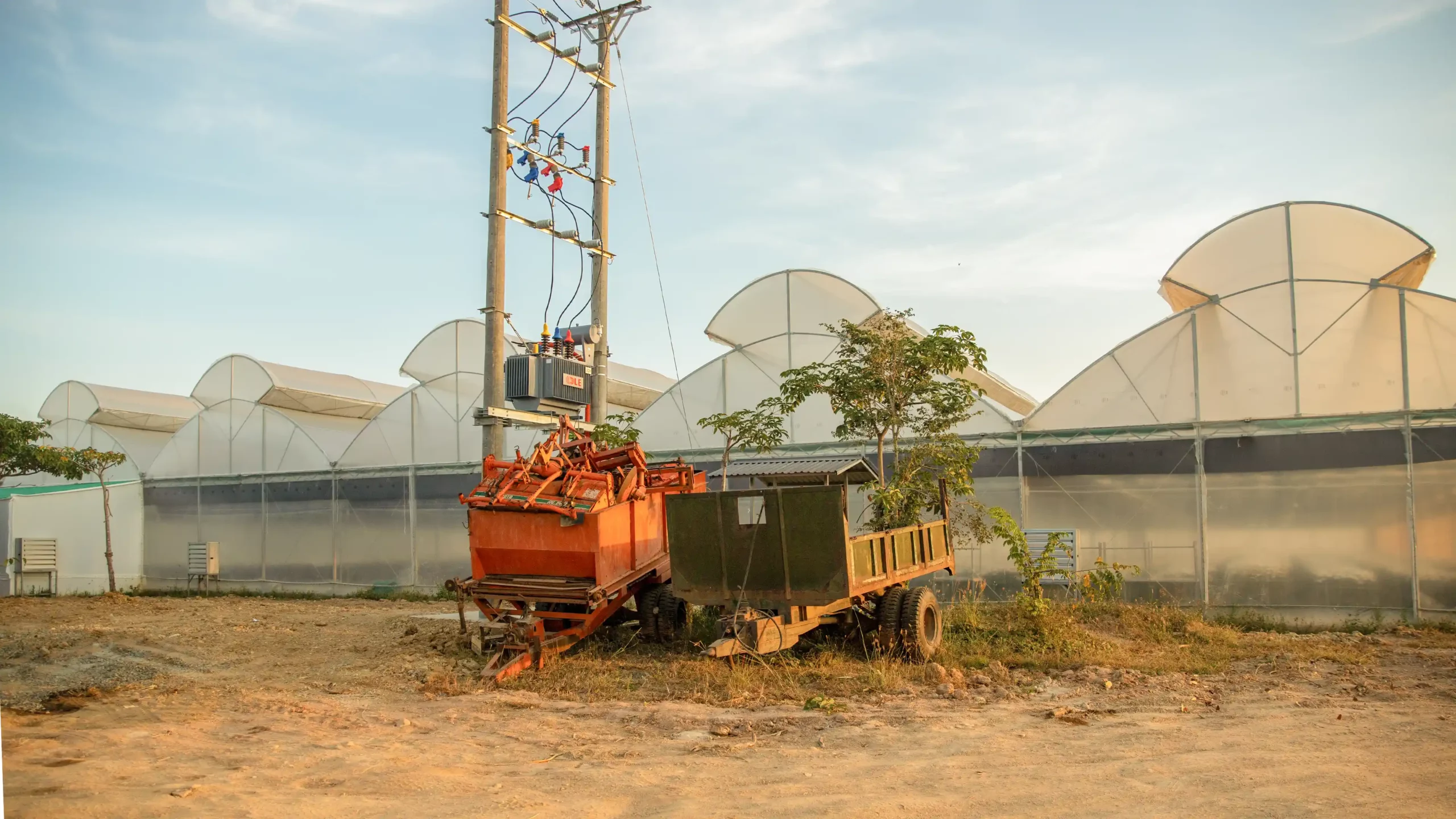 Nông Trại DannyGreen Phú Thiện - Gia Lai