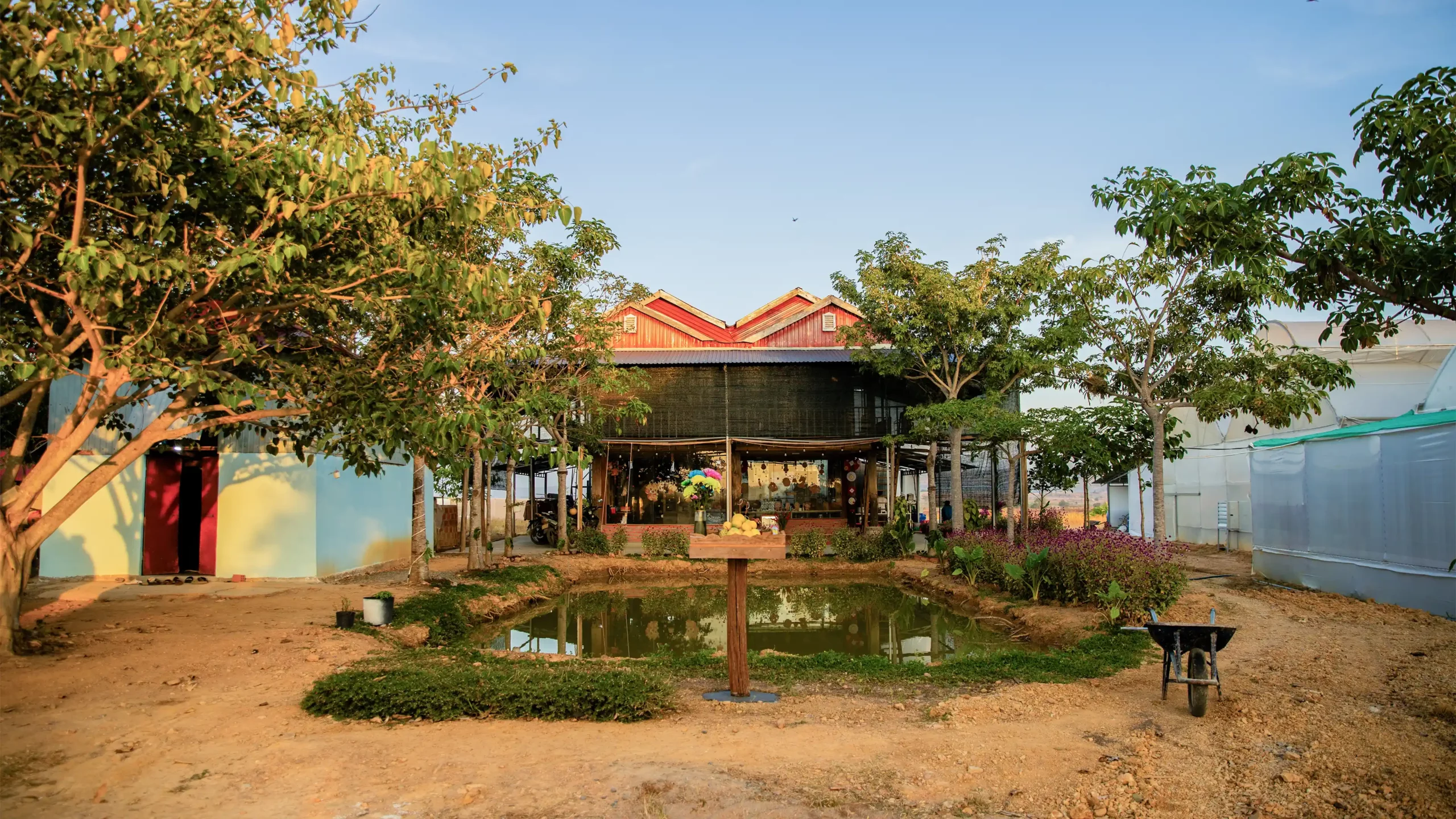 Nông Trại DannyGreen Phú Thiện - Gia Lai