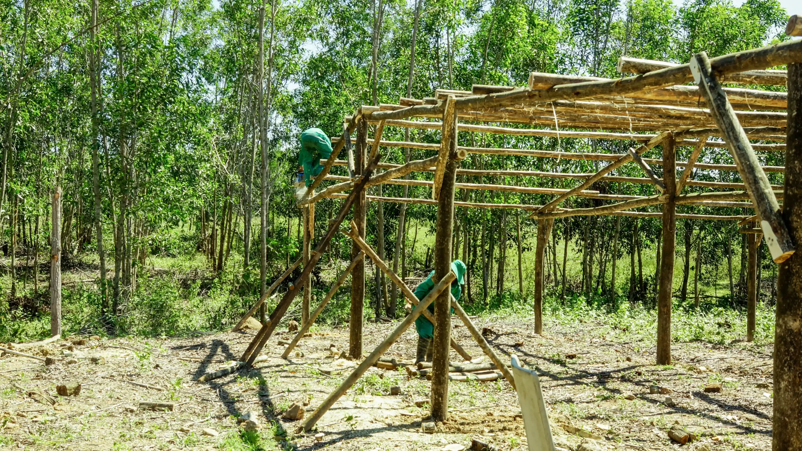 Nông Trại Rừng DannyGreen Đơn Dương - Lâm Đồng